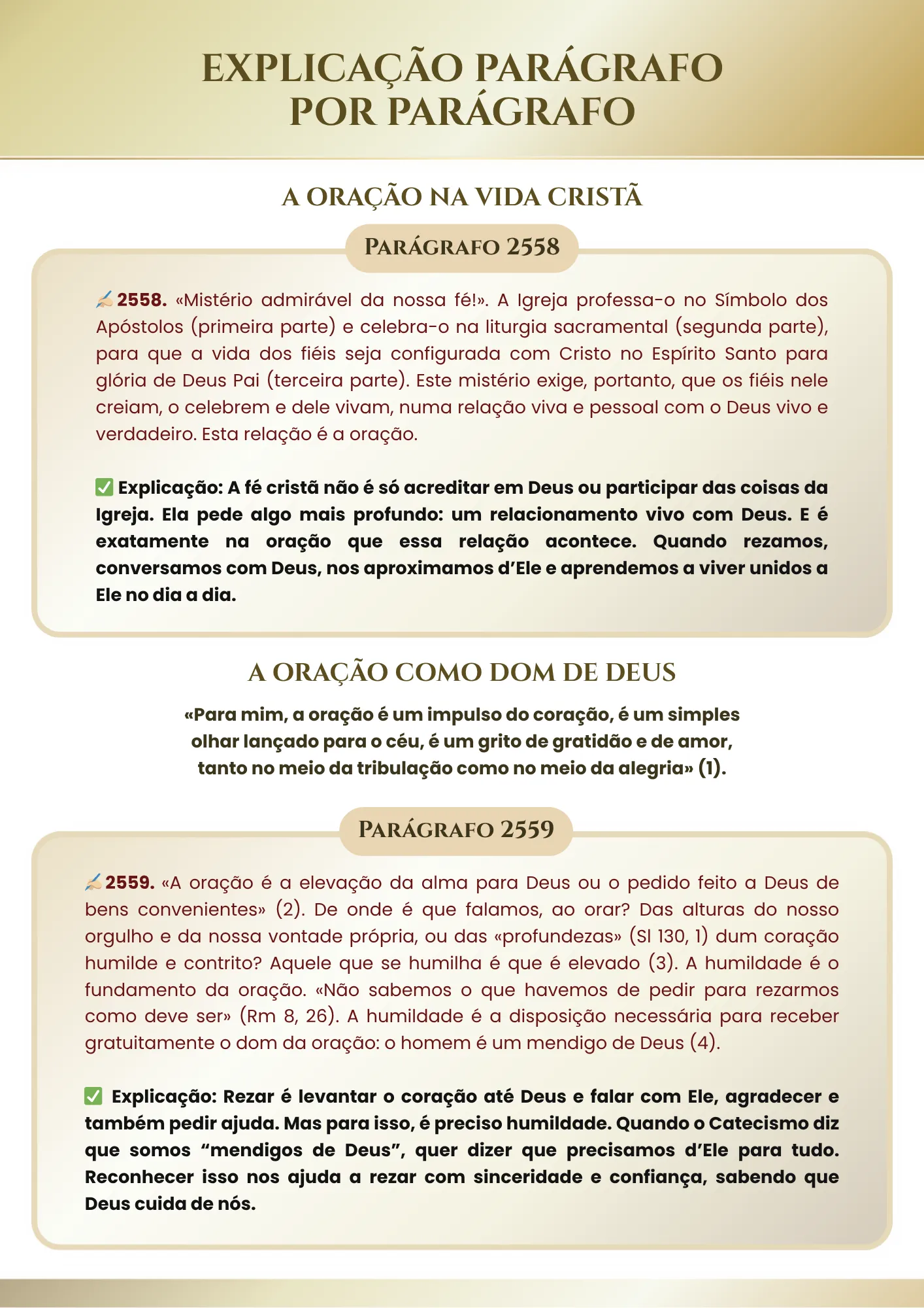 14-convertido-de-png